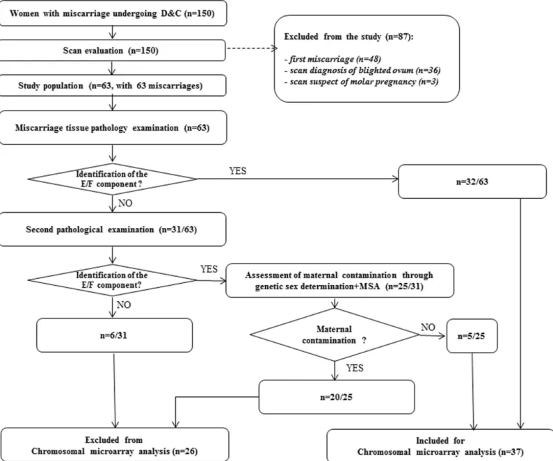 Fig 1. Representative flow-chart of the multistep procedure set-up for the selection of samples for chromosomal microarray analysis