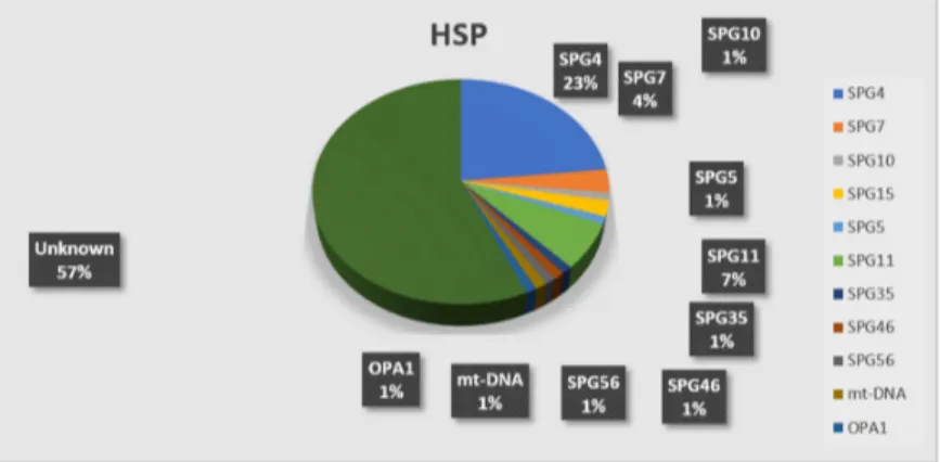 Figure 3. The pie-chart displays the results of individual gene screening in the HSP cohort, with an  overall diagnostic yield of 43%
