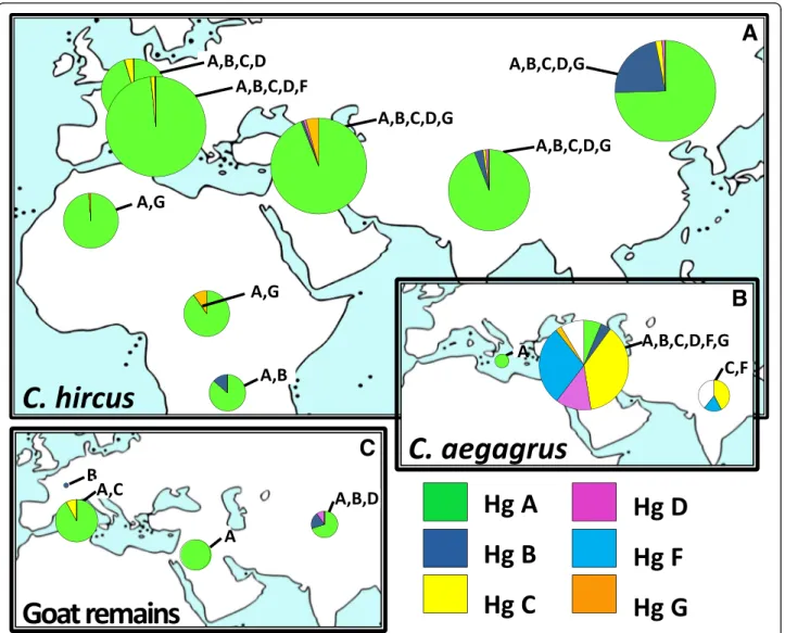 Fig. 4 Spatial frequency distributions of goat mtDNA haplogroups in different geographic areas based on different datasets: modern breeds (C
