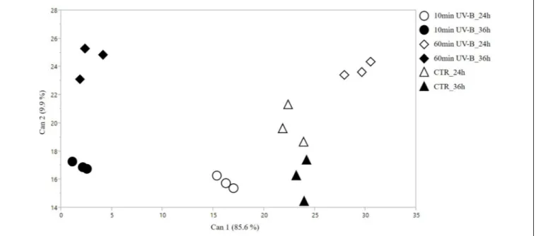 FIGURE 1 | 2D scatterplot of canonical discriminant analysis (CDA) considering the samples treated with 10 and 60 min of UV-B radiation after 24 and 36 h from the exposure, as well as the UV-B-untreated samples [controls (CTR)]
