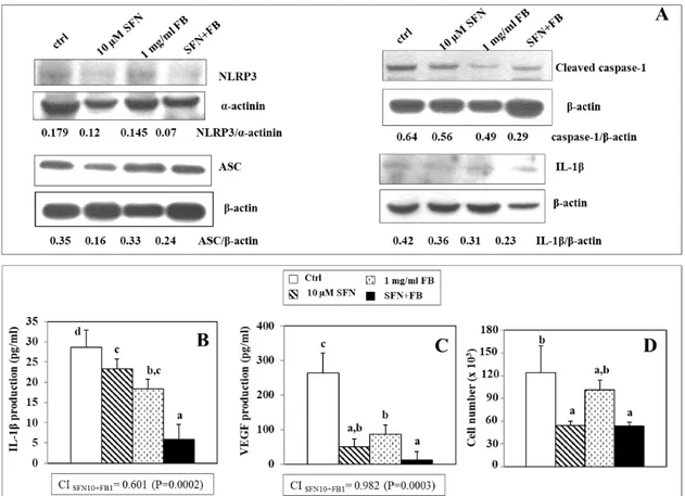 Figure 5. Effect of a combination of SFN (10 μM) and FB (1 mg/mL) on the expression of NLRP3,  ASC, Cleaved caspase-1 and IL-1β (A) and on the secretion in the culture medium of IL-1β (B) and  VEGF (C) and cell growth (D) in WM266-4 melanoma cells treated 