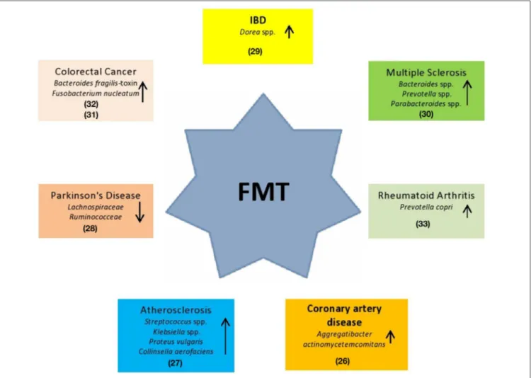FIGURE 1 | Potential use of FMT in systemic clinical disorders. These diseases are hypothesized being associated to specific gut bacteria alterations (26–33).