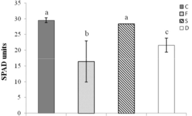 Figure 1. Biomass accumulation of tomato plants. Shoot (A) and root (B) fresh weight (g plant −1 ) of  tomato plants subjected to different nutritional treatments (C = control, F = Fe deficiency, S = S  deficiency, D = dual deficiency)