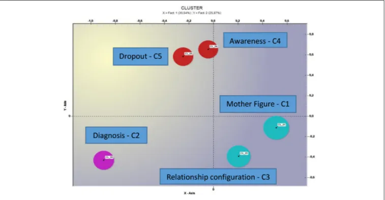 FIGURE 1 | Representation of the spatial distribution of the five thematic clusters.