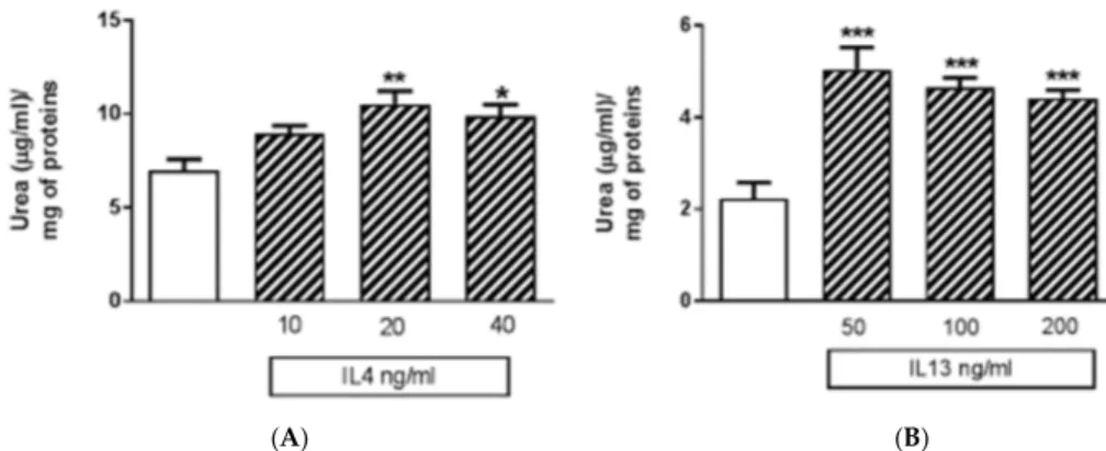 Figure 6. Effects of the human recombinant interleukin 4 (IL4) and human recombinant interleukin  13 (IL13) on urea release