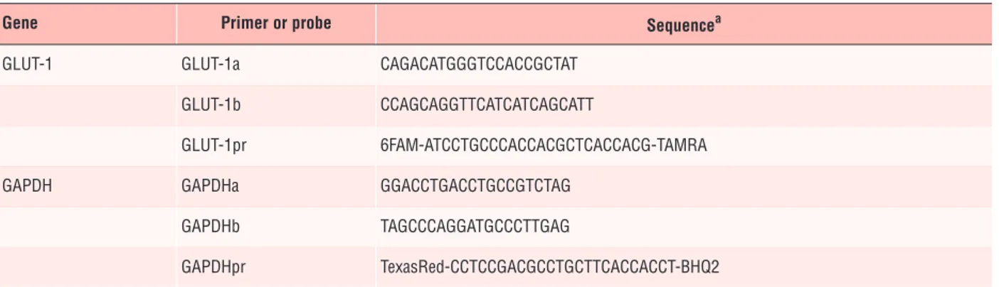 Table 1 Primers and fluorescent probes used in real-time PCR