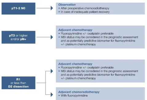 Figure 3. Treatment options for fit patients with resected gastric or gastroesophageal junction ade- ade-nocarcinoma