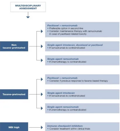 Figure  5.  Second-line treatment  options  for  fit  patients  with metastatic  or unresectable gastric or  gastroesophageal junction adenocarcinoma