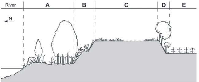 Tab. 1 - Physical-chemical properties of four samples of lan- lan-dfill cover soil. Data source: m.c.m