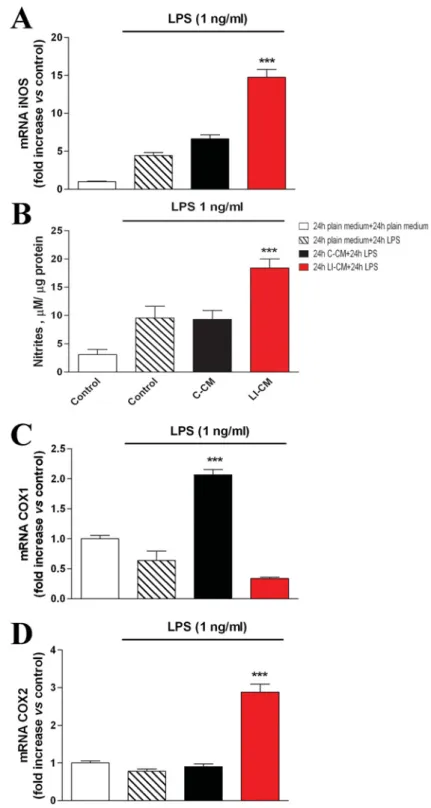 Figure 7 Effects of LPS on iNOS and COX in microglia pre-treated with C6 CM