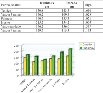 Figura  4.  Promedio  de  la  longitud  de  las  ramas  primarias  en  la  variedad  Rubidoux,  en función de los tratamientos.