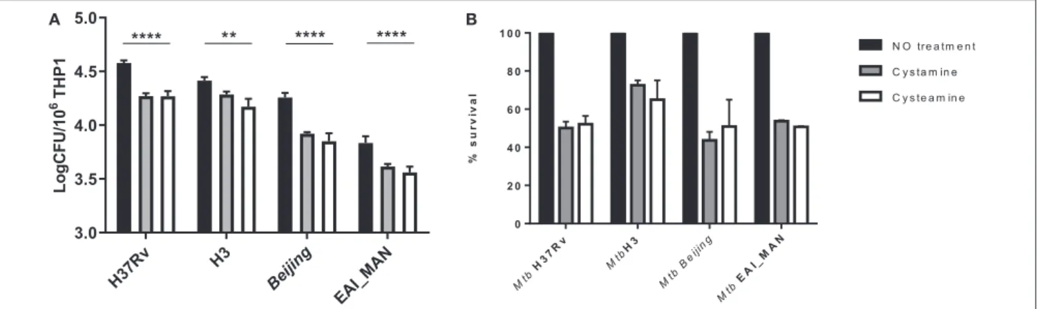 FIGURE 4 | Evaluation of cystamine and cysteamine effects in macrophages infected with different Mtb strains belonging to different lineages