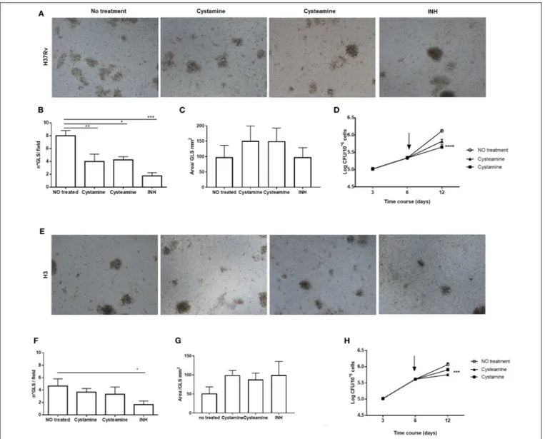 FIGURE 6 | Cysteamine and cystamine reduce the fitness of Mtb in an in vitro granuloma model containing human innate and adaptive immune cells