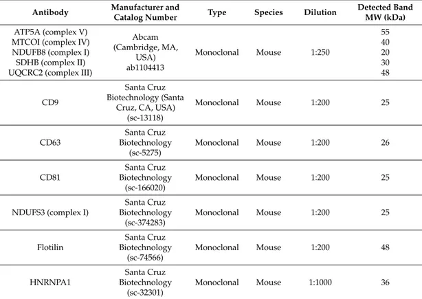 Table 1. Technical specifications of the primary antibodies used for Western immunoblotting.