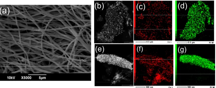 Figure 1. Top view SEM image of (a) CA/CeNPs/Pt5. Annular-dark-field STEM images and the corresponding STEM-EDS mapping of the (b–d) CeNPs/Pt1 and (e–g) CeNPs/Pt5 (red indicates the Ce and green the Pt element).