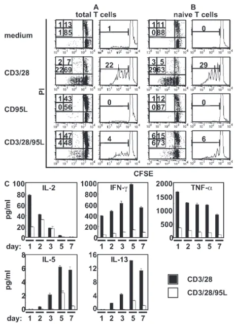Figure 2.  Simultaneous triggering of CD95 and TCR induces apoptosis in activated T cells and inhibits proliferation and cytokine secretion of  naive T cells