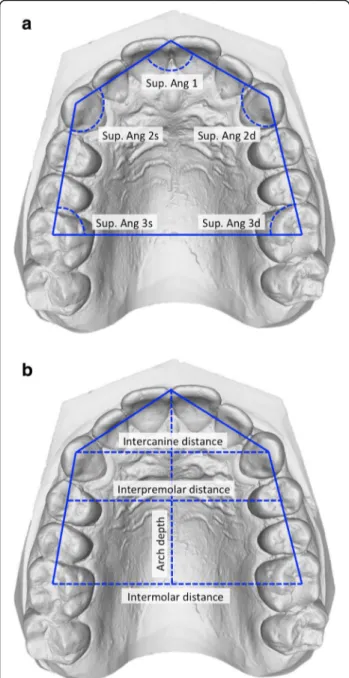 Fig. 3 a, b Method and variables for the shape analysis of the mandible