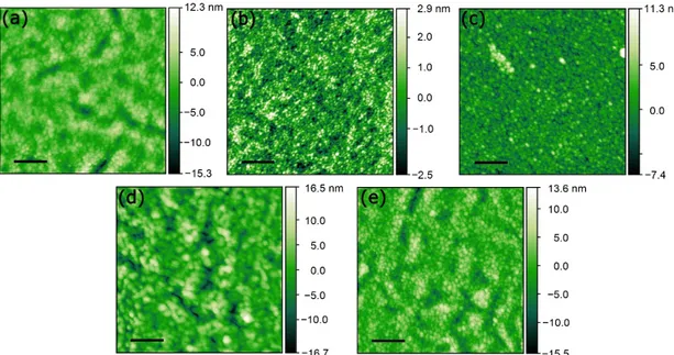 Figure 2. (1 × 1) µm 2  AFM images of films deposited on PLA: (a) AZO; (b) Ag(RFS); (c) Ag(SCDB); (d)  Ag(RFS)/AZO; (e) Ag(SCBD)/AZO