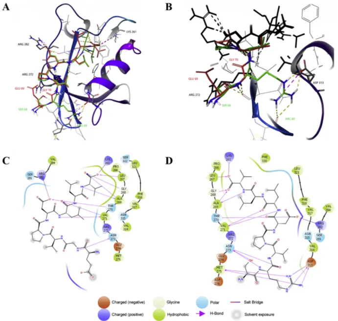 Fig. 2. In silico docking of E proteins C-terminals with PALS1. A) SARS-CoV and SARS-CoV-2 octapeptides lowest D G poses on PALS1 binding site, representation of H bond in yellow dashed lines, Salt bridge in purple dashed lines (red structure and label: SA