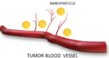 Figure 1. Behavior of nanoparticles in the blood vessels of the tumor area. 