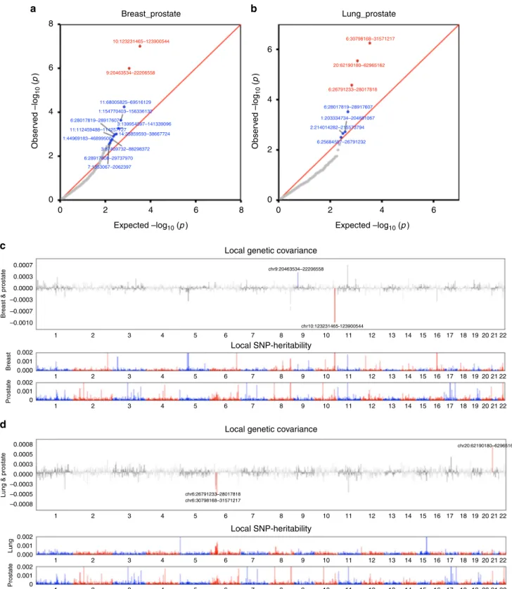 Fig. 2 Local genetic correlation between breast, lung and prostate cancer. The region-speci ﬁc p-values for the local genetic covariance for breast and prostate cancer are shown in a, and for lung and prostate cancer in b