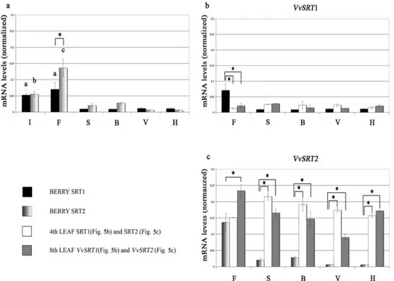 Figure 5. The expression profiles of the two genes in berries are reported. Grapevine growth stages: