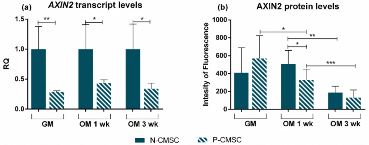 Figure 9.  Comparative expression profiling of AXIN2 gene and protein in N-versus-P-CMSC