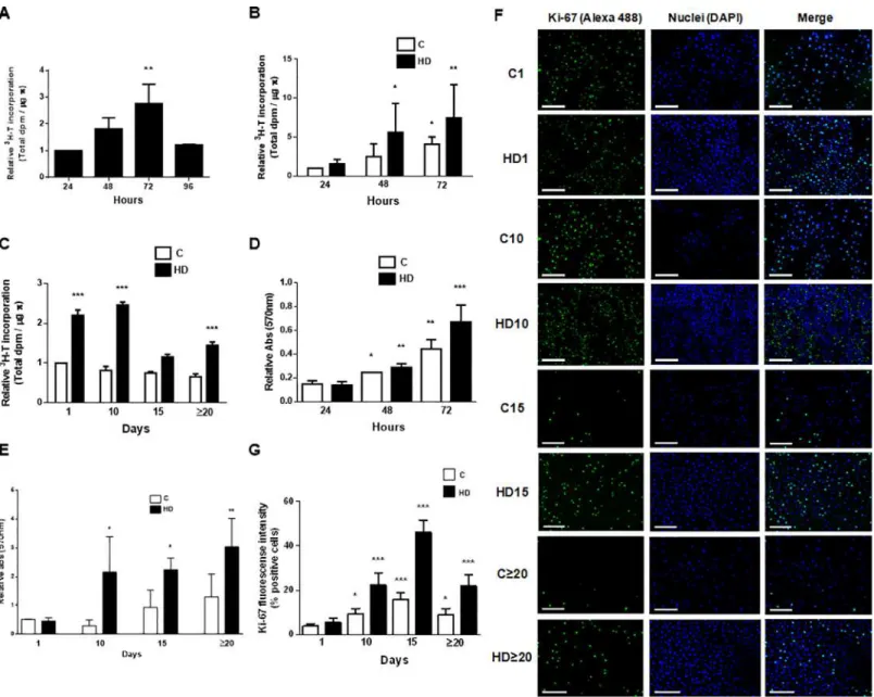 Fig 5. Hepatic differentiation increases proliferation and viability of amniotic cells