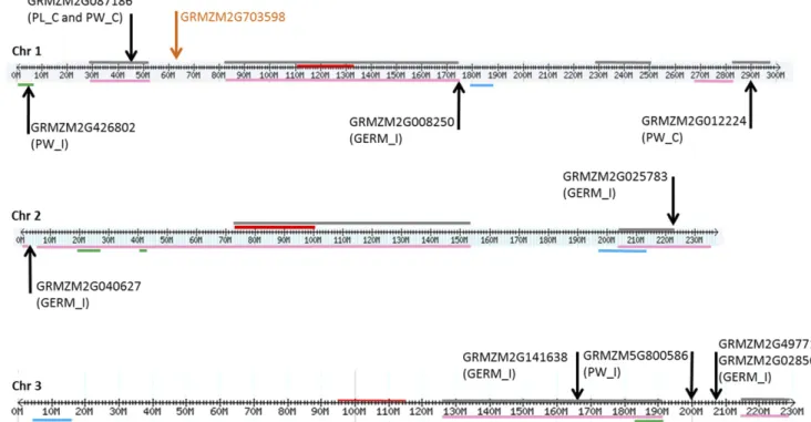 Figure 4 Localization of QTL and genes containing or adjacent to SNPs identi ﬁed by GWAS on chromosomes 1, 2 and 3