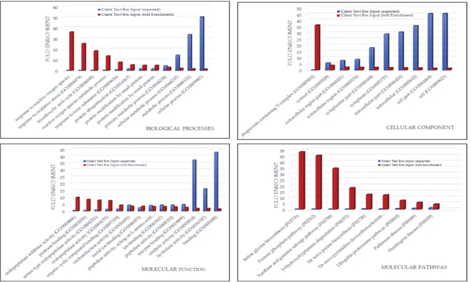Figure 6. Bar charts of the gene ontology overrepresentation analyses carried out by PANTHER tool between the 176 exclusive proteins of ND GBM CUSA A+ and the Homo sapiens data of reference.