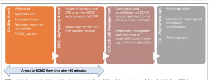 Figure 2.  Key steps in extracorporeal cardiopulmonary resuscitation (E- CPR) for out- of- hospital cardiac arrest (OHCA)