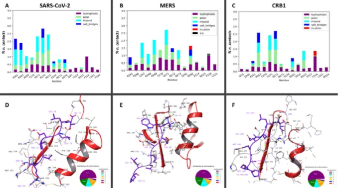 Fig. 4. A, B, C Interaction histograms of SARS-CoV-2, MERS and CRB1 E-SLiM peptides against PALS1 wild-type