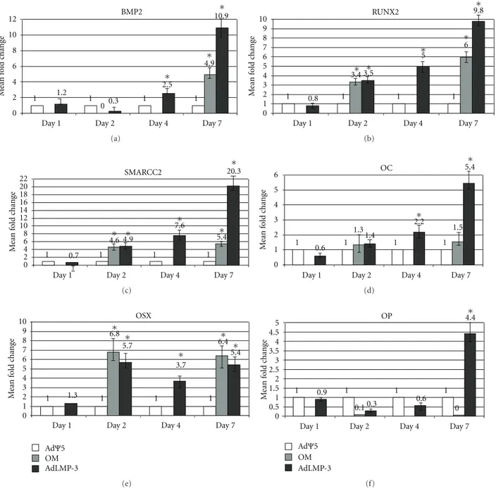 Figure 3: qPCR gene expression analysis. The graphic represents the expression levels of osteospecific gene ((a) BMP2; (b) RunX2; (c) SMARCC2; (d) OC; (e) OSX; (f) OP)