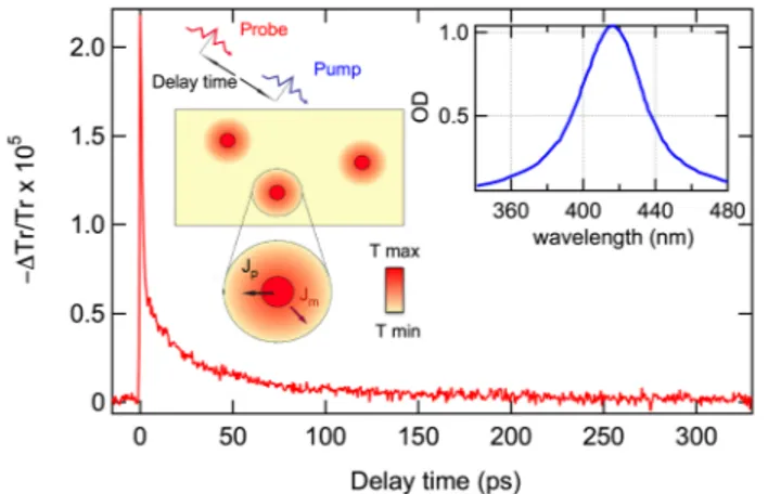 FIG. 1. (Color online) Measured time-resolved relative transmission change for T cryo ¼ 200 K