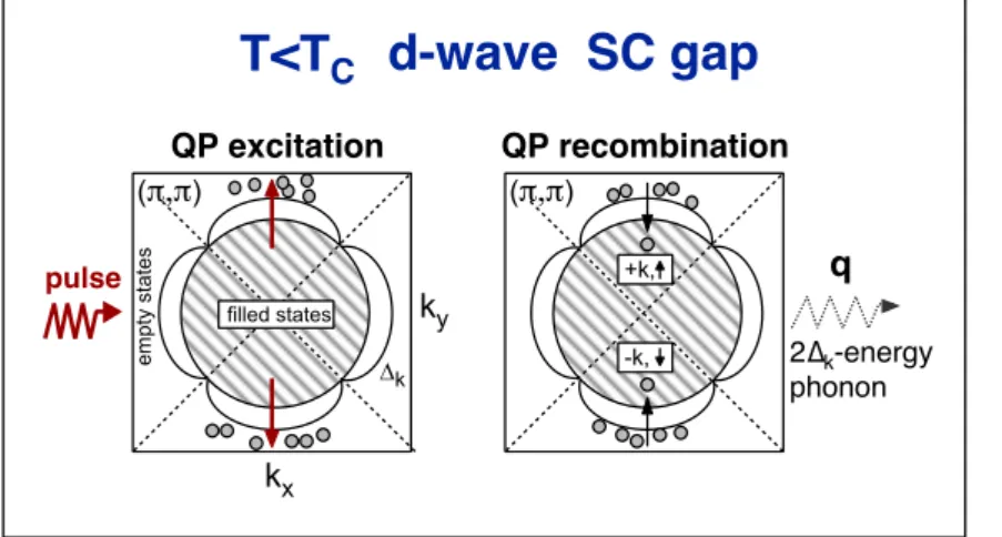 Fig.  2  Rough  scheme  of  the  excitation  and  relaxation  processes of  antinodal  QP  in  the  k-space  for  a  two-dimensional  BCS-like  superconductor  with  a  spherical  Fermi  surface  a n d  a  d - w a v e  g a p   s y m m e t r y