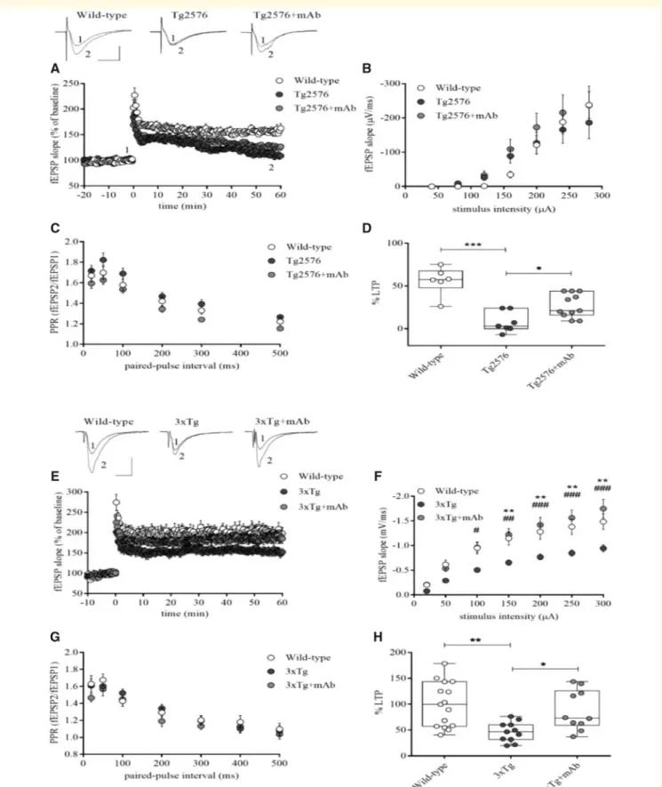 Figure 7 Reduction of cognitive deficits in 12A12mAb-immunized Tg-Alzheimer’s disease mice correlates with an increased LTP