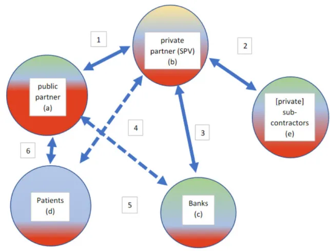 Figure 2. Standard Healthcare PPP Network during the Management Phase.   