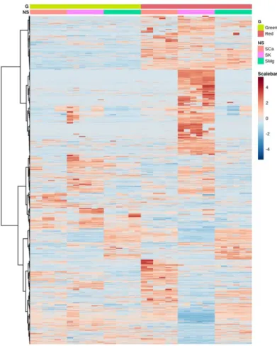 Figure 3. Heatmap clustering of the leaf metabolomes in the different experimental conditions