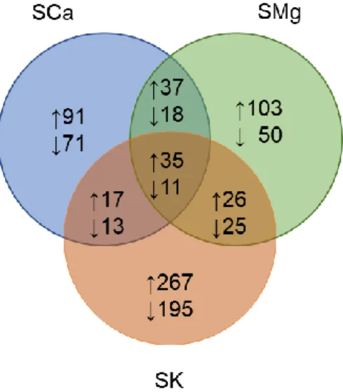 Figure 6. Venn diagram of the differentially accumulating metabolites between the ‘Red Salanova’ 