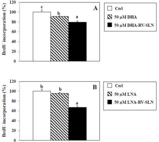 Figure 7. Effect of free LNA or LNA encapsulated in RV-SLN on HT-29 CRC cell proliferation