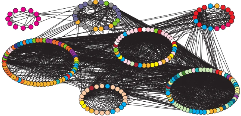 Figure 2: The Infinito network: nodes are grouped according to the max-modularity partition (Table 2) and colored according to the “locali” partition (Table 1).