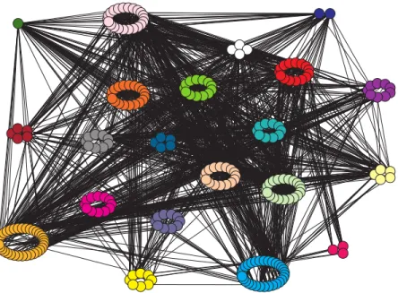 Figure 1: The Infinito network: nodes are grouped and colored according to the “locali”