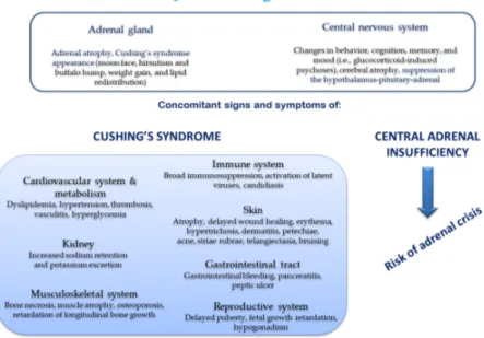 Figure 3. Tissue side effects of synthetic glucocorticoids [1]. 
