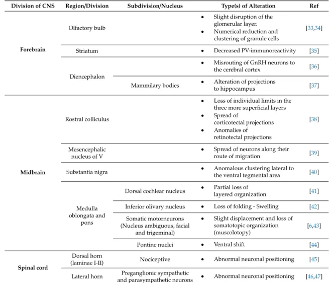 Table 2. Main histopathological changes in the homozygous Reeler mouse.