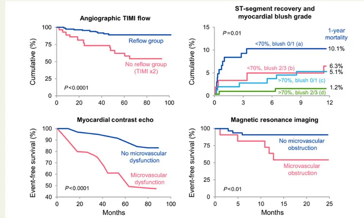 Figure 3 The prognostic role of coronary microvascular obstruction: at the top left, Kaplan – Meier survival curve showing, at long-term follow- follow-up (100 months), that patients in the coronary microvascular obstruction grofollow-up, evaluated by angi