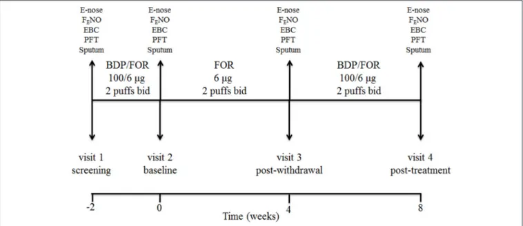 FIGURE 1 | Study design and detail of interventions. At screening visit (visit 1), treatment with a constant dose of inhaled fluticasone propionate/salmeterol xinafoate fixed dose combination (FDC) (500/50 µg b.i.d