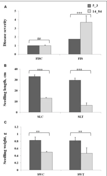 FIGURE 3 | Phenotypic values of Fusarium infection of seedlings (A), seedling length (B), and seedling weight (C) in the control rolled towel assays (RTAs), named as FISC, SLC, and SWC, and treated RTAs, named as FIST, SLT, and SWT, in the recombinant inbr