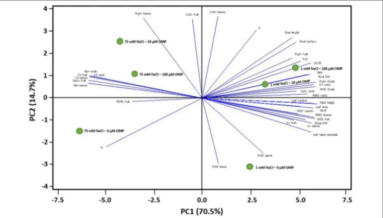 FIGURE 7 | Principal component loading plot and scores of principal component analysis (PCA) of morphological, physiological traits and ion contents of greenhouse tomato grown under nonsaline (1 mM NaCl) or saline nutrient solution (75 mM NaCl), following 
