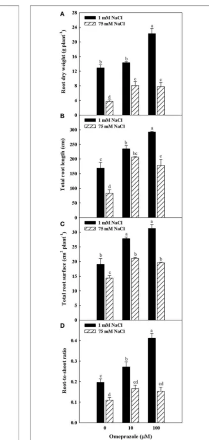 FIGURE 2 | Effects of NaCl concentration in the nutrient solution and omeprazole application on plant height (A), number of leaves per plant (B), total leaf area (C), and shoot dry biomass (D) of greenhouse tomato plants.