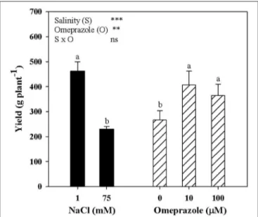 FIGURE 4 | Mean effects of NaCl concentration in the nutrient solution and omeprazole application on yield of greenhouse tomato plants